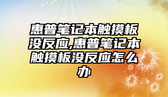 惠普筆記本觸摸板沒反應(yīng),惠普筆記本觸摸板沒反應(yīng)怎么辦