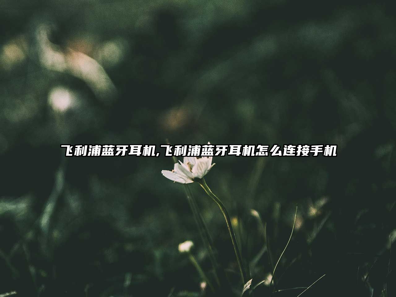 玉翠科技網(wǎng)