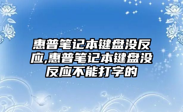 惠普筆記本鍵盤沒反應,惠普筆記本鍵盤沒反應不能打字的