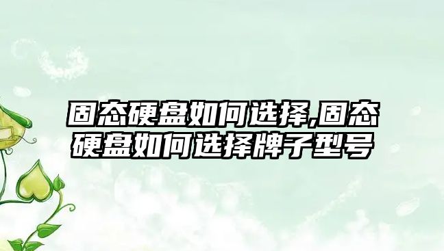 玉翠科技網(wǎng)