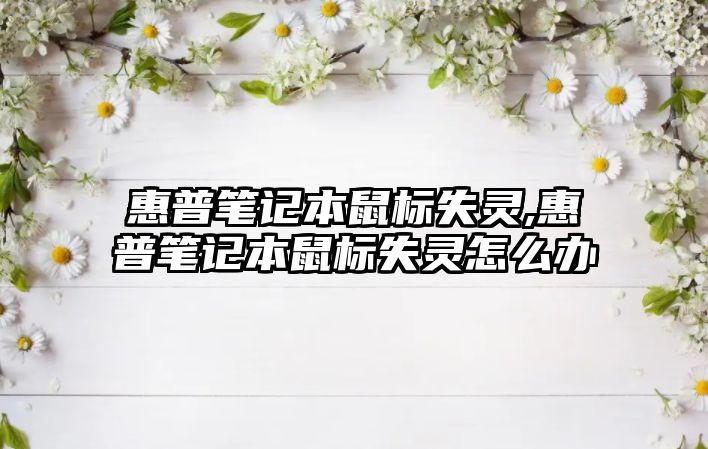 惠普筆記本鼠標(biāo)失靈,惠普筆記本鼠標(biāo)失靈怎么辦